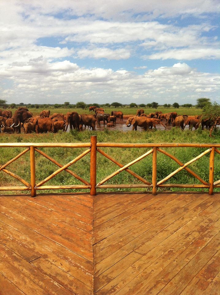 annika_kenyasafari African Safari Kenya