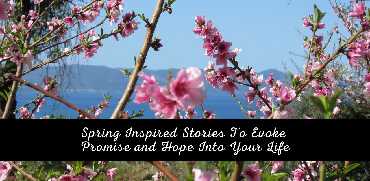 inspiring-stories-for-spring-promise-hope