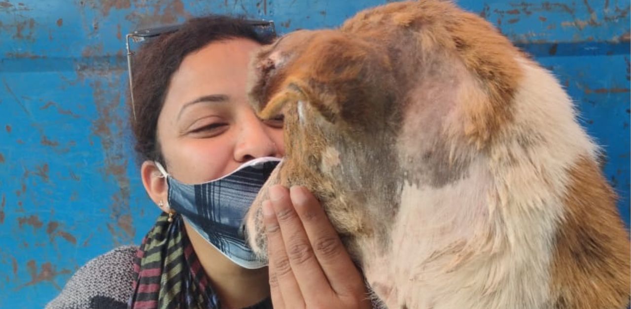Animal-Protection-Society-Udaipur-Inspiring-Story