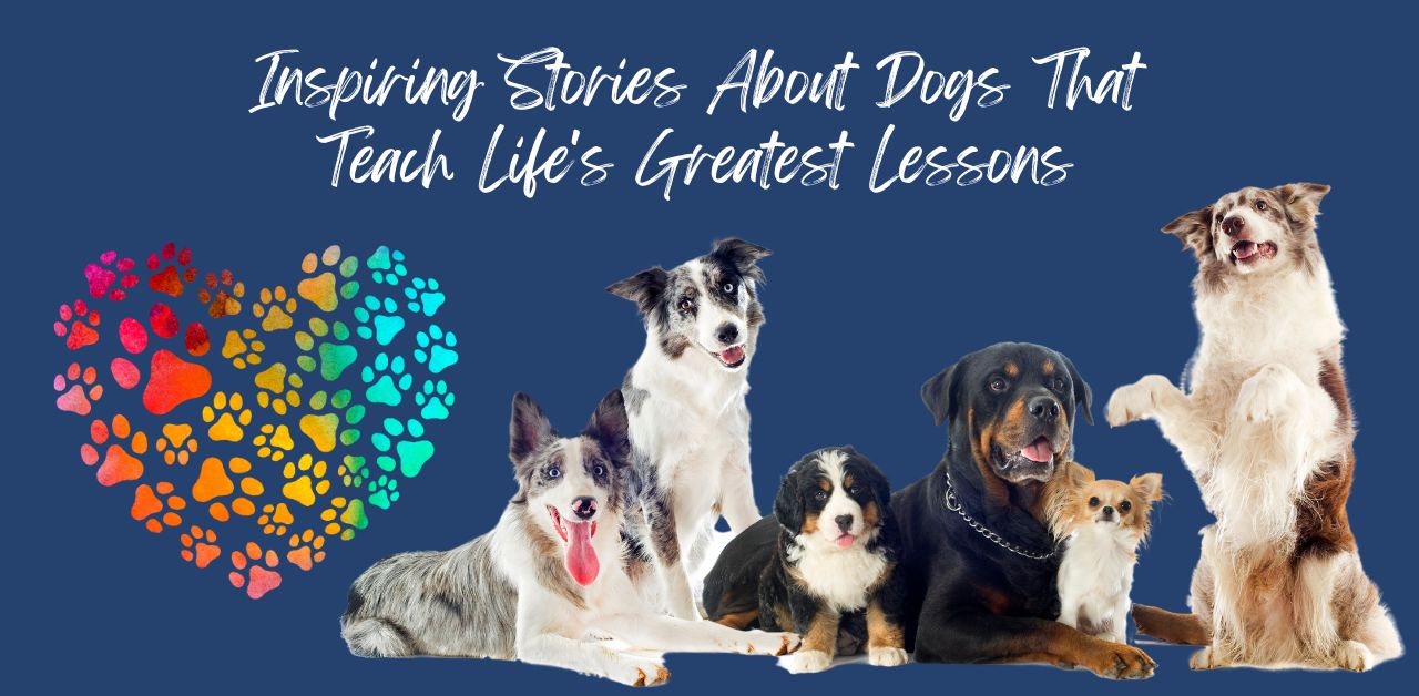 inspiring-stories-about-dogs