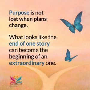Wise insight about purpose continuing even when plans change, drawn from a real life story shared on Daily Inspired Life.