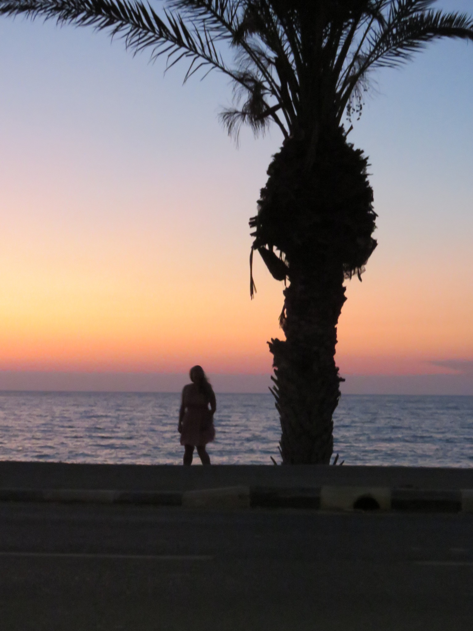 Woman under a palm tree at sunset depicting connection as described in the story